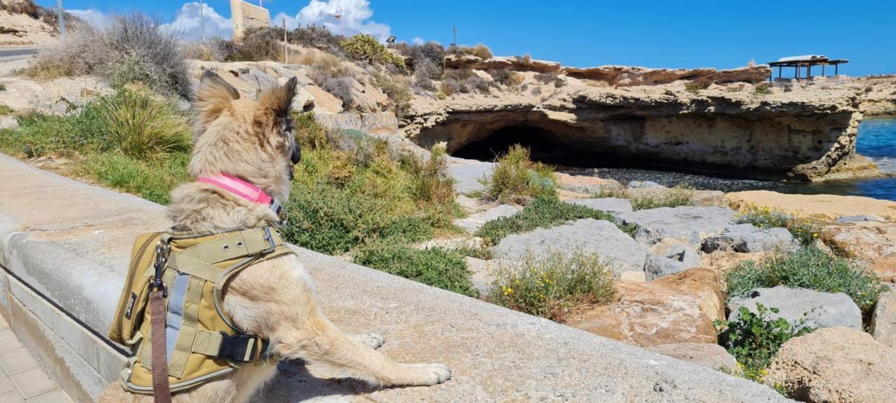 Apartmán La Guarida Rustica Del Zorro Jijona Exteriér fotografie